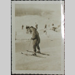 A man skiing (ddr-densho-321-1253)