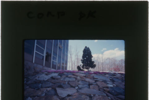 Landscaping at the Schulman Corp. Park project (ddr-densho-377-1023)