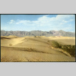 Photograph of Mesquite Flat Sand Dunes in Death Valley (ddr-csujad-47-149)
