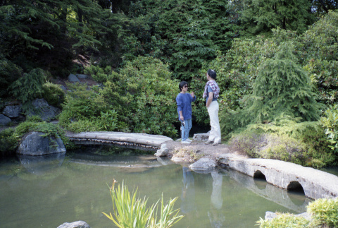 Bridges at Japanese Garden pond (ddr-densho-354-1534)