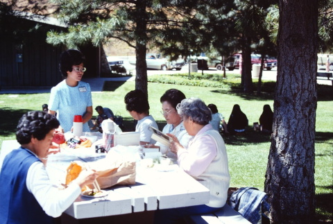 A picnic on the way to Tule Lake (ddr-densho-294-4)
