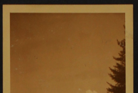 Mt. Hood (ddr-densho-287-596)