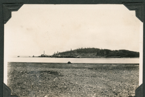 Photo of creosote flotsam near Hawley Dock (ddr-densho-483-185)