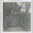 Stairway to gate (ddr-densho-329-765)