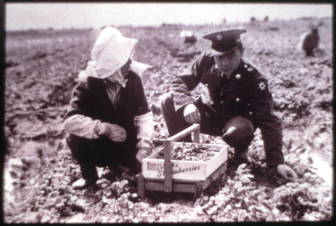 Soldier and strawberry farmer (ddr-densho-1007-666)