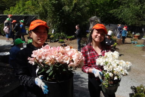 Fall 2019 Plant Sale, plant carryout volunteers (ddr-densho-354-2577)