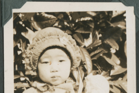 Photo of young child (ddr-densho-355-364)