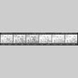 Negative film strip for Farewell to Manzanar scene stills (ddr-densho-317-217)