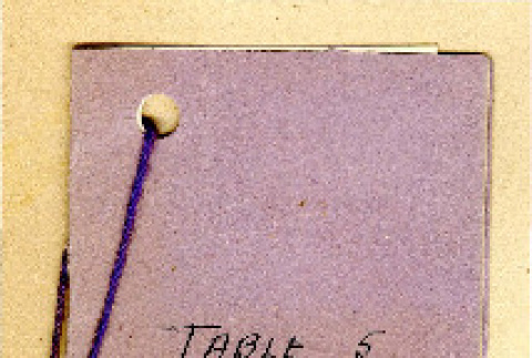 Table 5 (ddr-csujad-38-370)