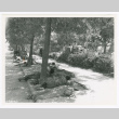 Servicepeople at rest under trees (ddr-densho-1007-172)