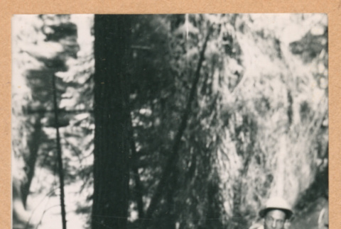 Man beside boulder (ddr-densho-468-284)