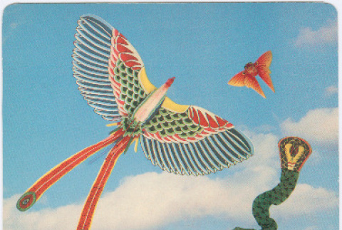 Letter from Carol Kitayama to Kaneji Domoto (ddr-densho-329-1196)