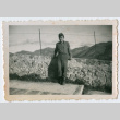 Soldier standing in front of wall with barbed wire (ddr-densho-368-226)