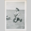 A toddler riding a tricycle (ddr-densho-300-80)