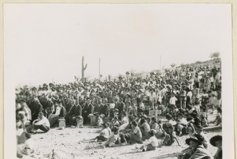 Crowd at amphitheater for Armistice Day program (ddr-densho-37-1184)