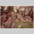 Rock feature bordering pond (ddr-densho-377-2319)