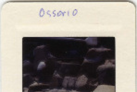 Front and back (ddr-densho-377-522-mezzanine-0b57d7b843)