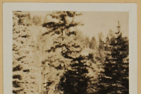 Woman on rock (ddr-densho-287-612)