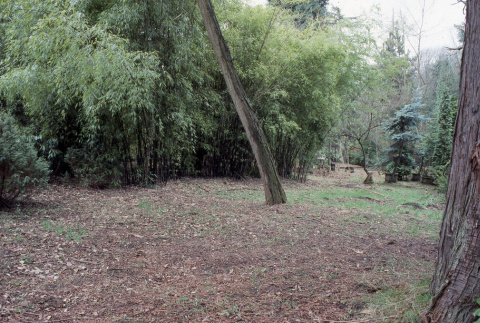 Lower garden on property line (ddr-densho-354-1380)