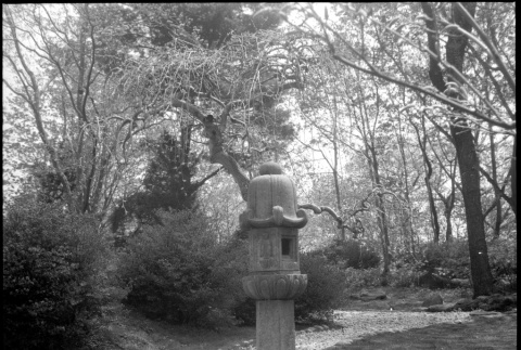 Stone lantern at Kirschenbaum resident (ddr-densho-377-1451)