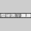 Negative film strip for Farewell to Manzanar scene stills (ddr-densho-317-235)