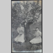 Two women and a man by a tree (ddr-densho-355-588)