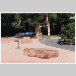 Driveway with rock landscaping (ddr-densho-377-1883)