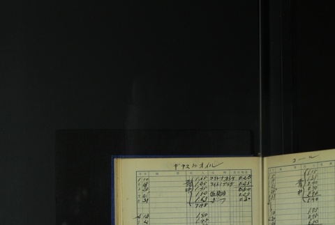 Page 401 (ddr-densho-255-6-master-3dbaa810b1)