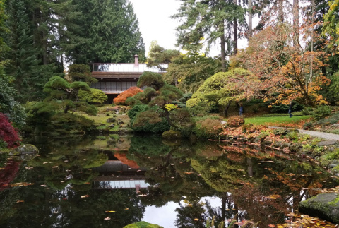 Japanese garden at Bloedel Reserve (ddr-densho-354-2259)