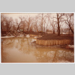 Landscaping under construction (ddr-densho-377-2315)