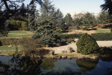 Pond in Japanese Garden (ddr-densho-354-1920)