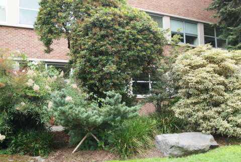 Japanese American Remembrance Garden, Seattle University (ddr-densho-354-2732)