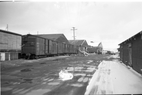 Freight Train cars at Tule Lake Warehouse (ddr-densho-570-54)