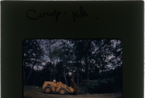 Moving a tree at the Schulman Corp. Park project (ddr-densho-377-973)