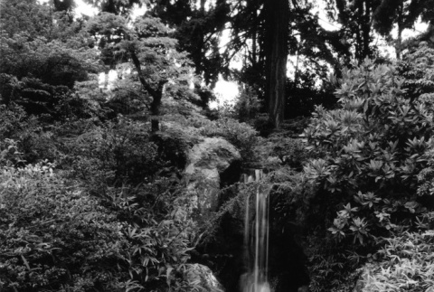 Waterfall on the Mountainside (ddr-densho-354-773)