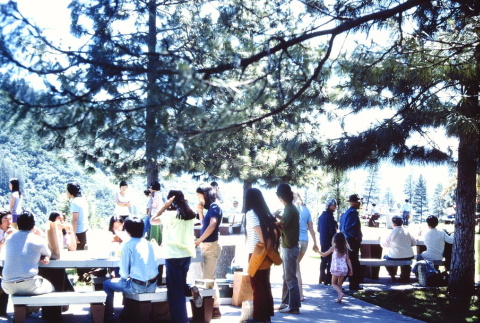 A picnic on the way to Tule Lake (ddr-densho-294-3)