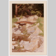 Wooden bridge across stream (ddr-densho-377-1997)
