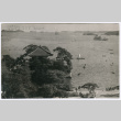 Blank postcard (ddr-densho-501-38)