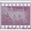 Film negative of hunting group (ddr-densho-383-459)