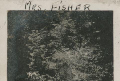 Dr. Fisher (ddr-densho-357-77)