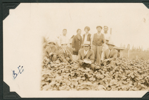 Photo of the Fukuyama family with migrant agricultural workers in a strawberry field (ddr-densho-483-200)
