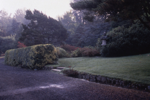 Lawn to Japanese Garden (ddr-densho-354-1924)