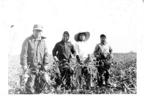 Taenaka family in farm (ddr-csujad-25-79)