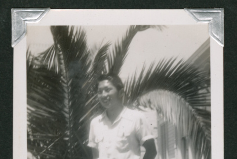 Teenage boy in front of palm tree (ddr-densho-550-144)