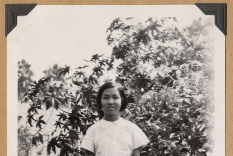 Girl standing by a bush (ddr-densho-542-181)