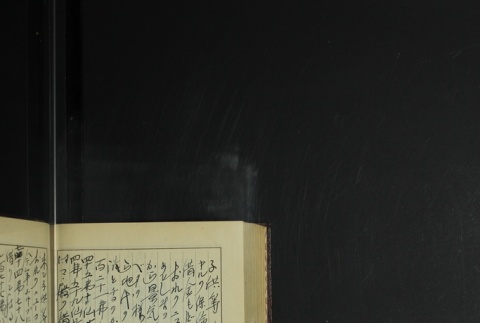 Page 394 (ddr-densho-255-9-master-da8a1e6f46)