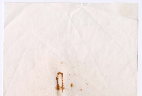 Document in Japanese (ddr-densho-501-366)