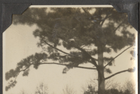 Memorial site (ddr-densho-432-102)