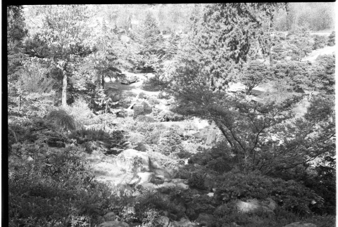View from mountainside of garden, parking area (ddr-densho-354-1953)