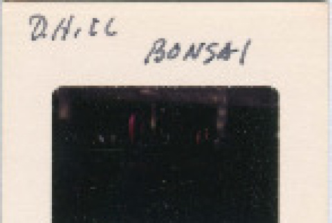 Front and back (ddr-densho-377-1056-mezzanine-56956d07fd)